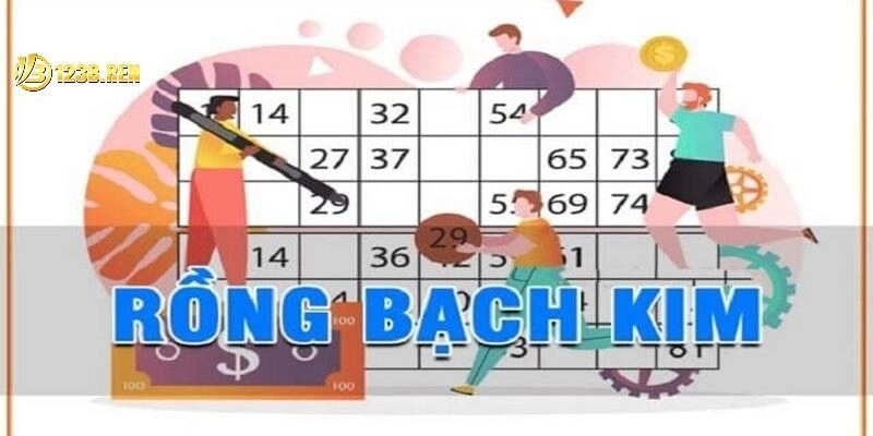 Rồng bạch kim và những lý do được lựa chọn